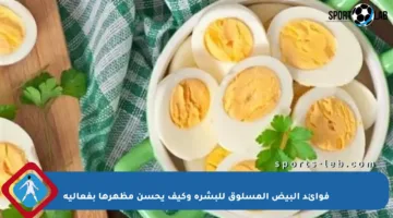 فوائد البيض المسلوق للبشرة وكيف يحسن مظهرها بفعالية